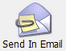 SendInEmailIcon